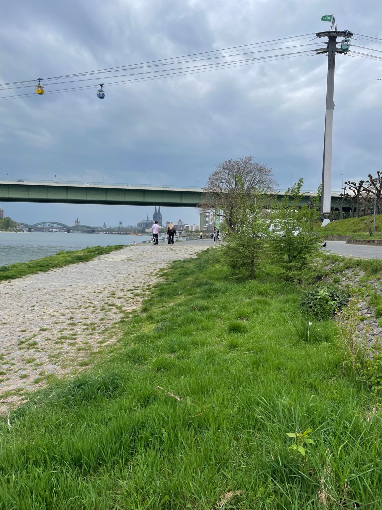 A broad gravel path flanked by grass and river leading to the Promenade with cathedral steeples in far distance.