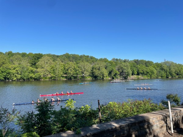 Racing sculls arrayed across the Schuylkill River against the woods on the otherside and a brilliant blue sky